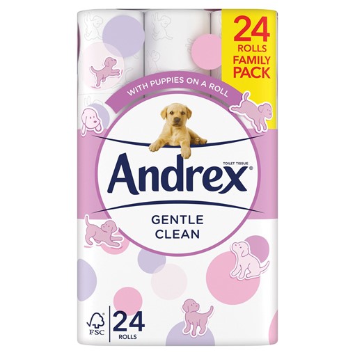 Picture of Andrex Gentle Clean Toilet Tissue 24 Roll
