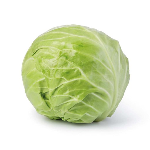 Picture of Co-op Organic Seasonal Cabbage EACH