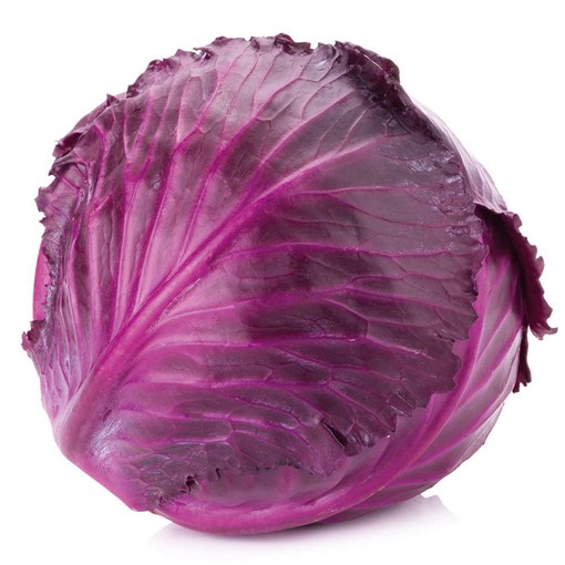 Picture of RED CABBAGE