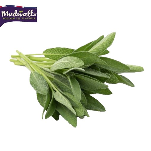 Picture of Herb - Sage 30g