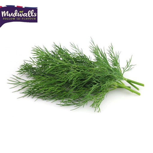 Picture of Herb - Dill 30g