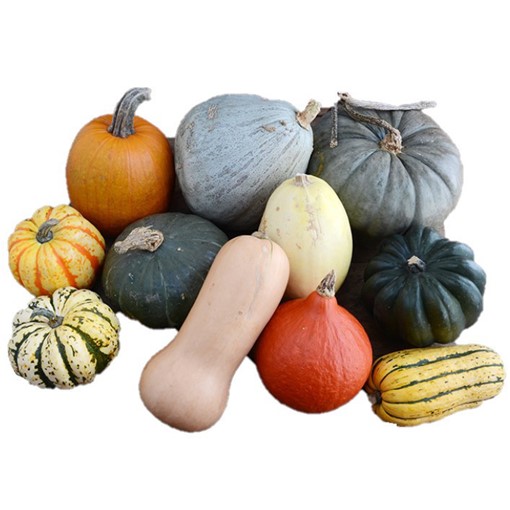 Picture of Co-op Seasonal Mixed Squash 20CASE