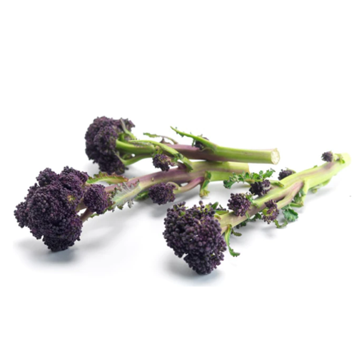 Picture of Broccoli - PSB 250g