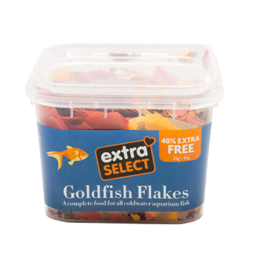 Goldfish clearance food online