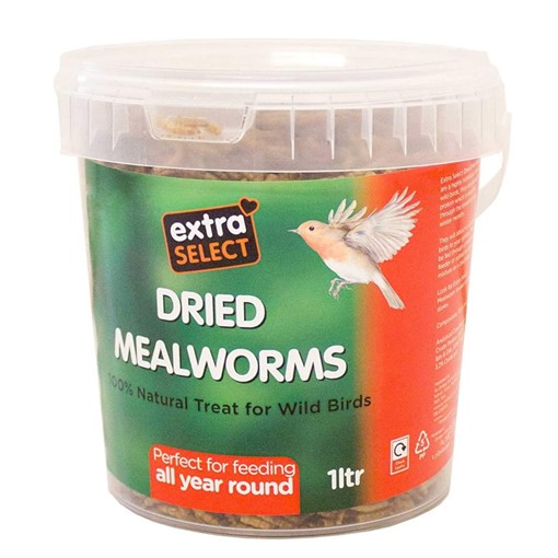 Picture of ES Mealworms.